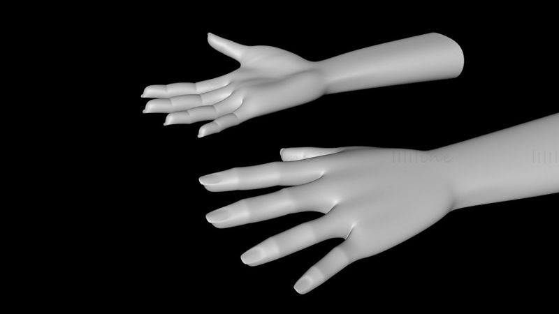 人体手臂和手（左和右）3d模型