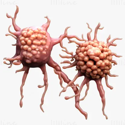 Menschlicher Krebszelltumor 3D-Modell