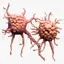 Human Cancer Cell Tumor 3d model