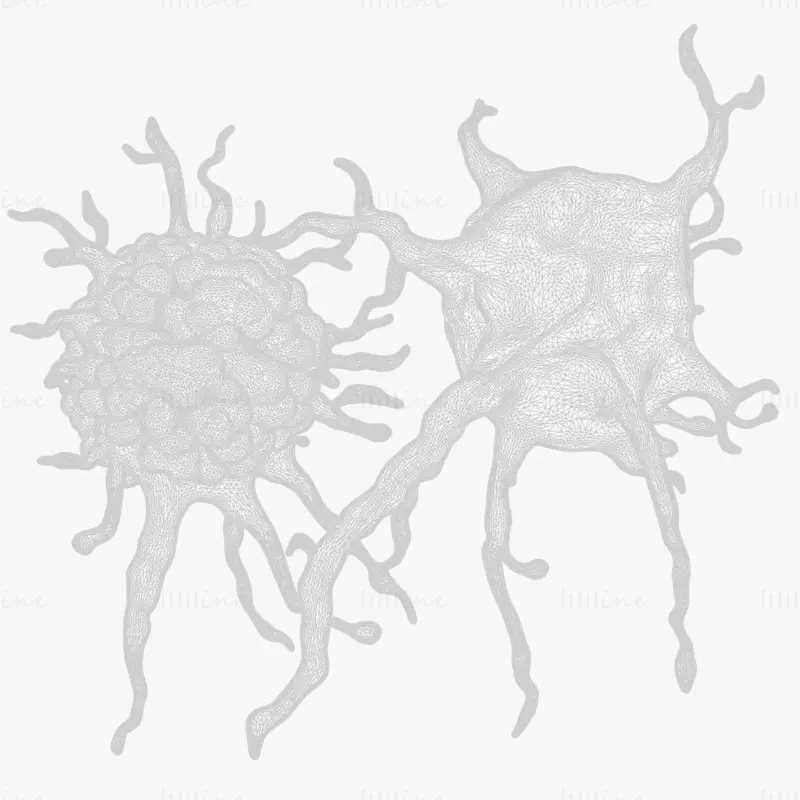 3D model lidského rakovinného nádoru