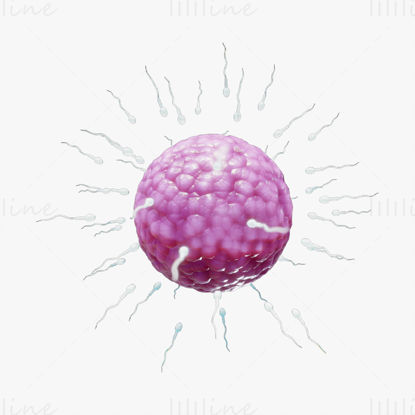 مدل سه بعدی لقاح انسان اسپرم و سلول تخمک (تخمک).