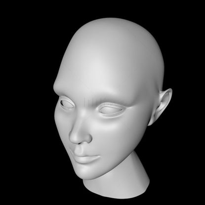 人体头部 3d 模型