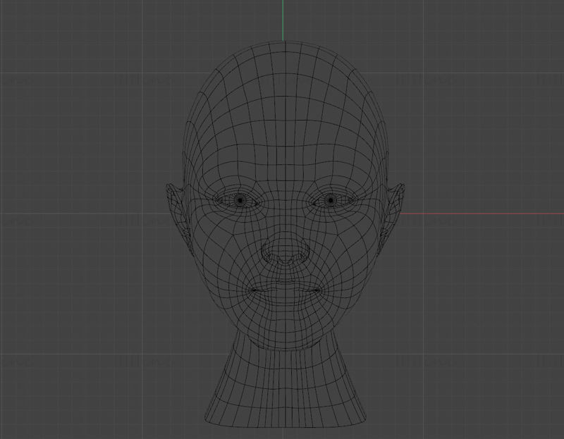 人体头部 3d 模型
