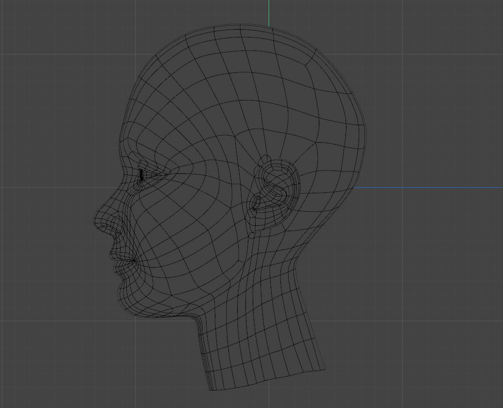 3d model of your head