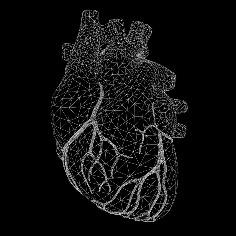 人間の心臓 3Dモデル