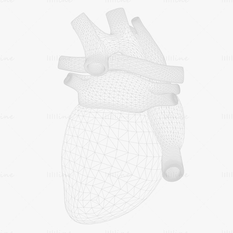 Modelo 3D de bombeamento de coração humano com animação