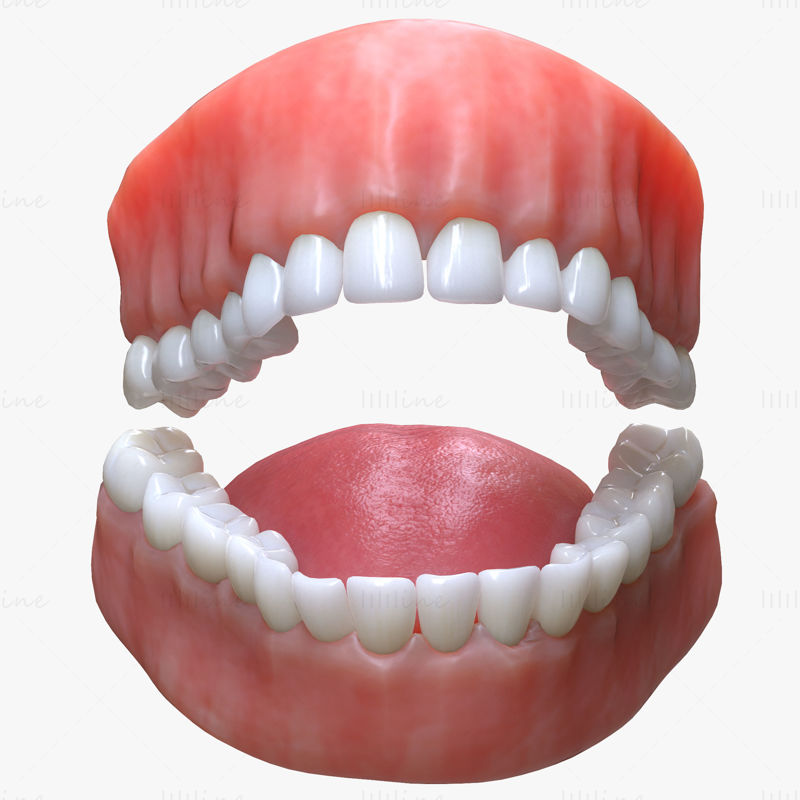3D-моделирование зубов по фото и видео: новая технология