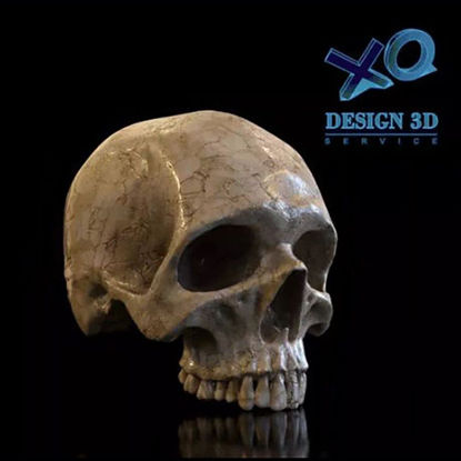 Human skull 3d print model