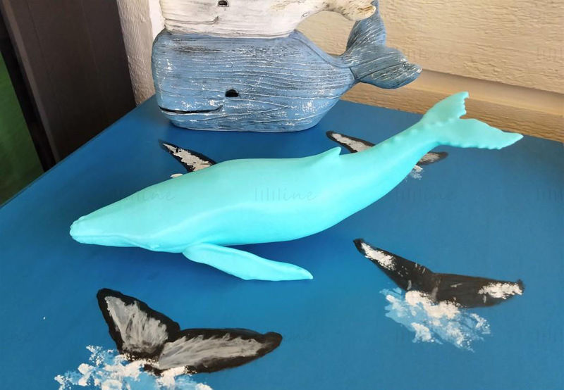 ザトウクジラの3Dプリントモデル