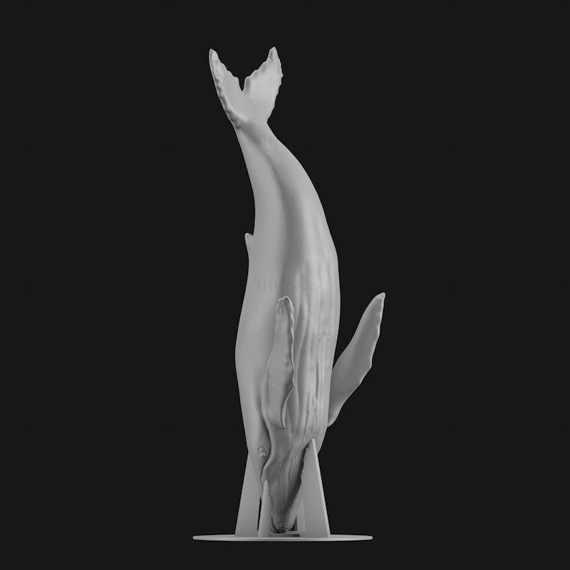 Modelo de impresión 3d de ballena jorobada