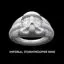 Imprial Stormtrooper Ring 3D Print Model STL