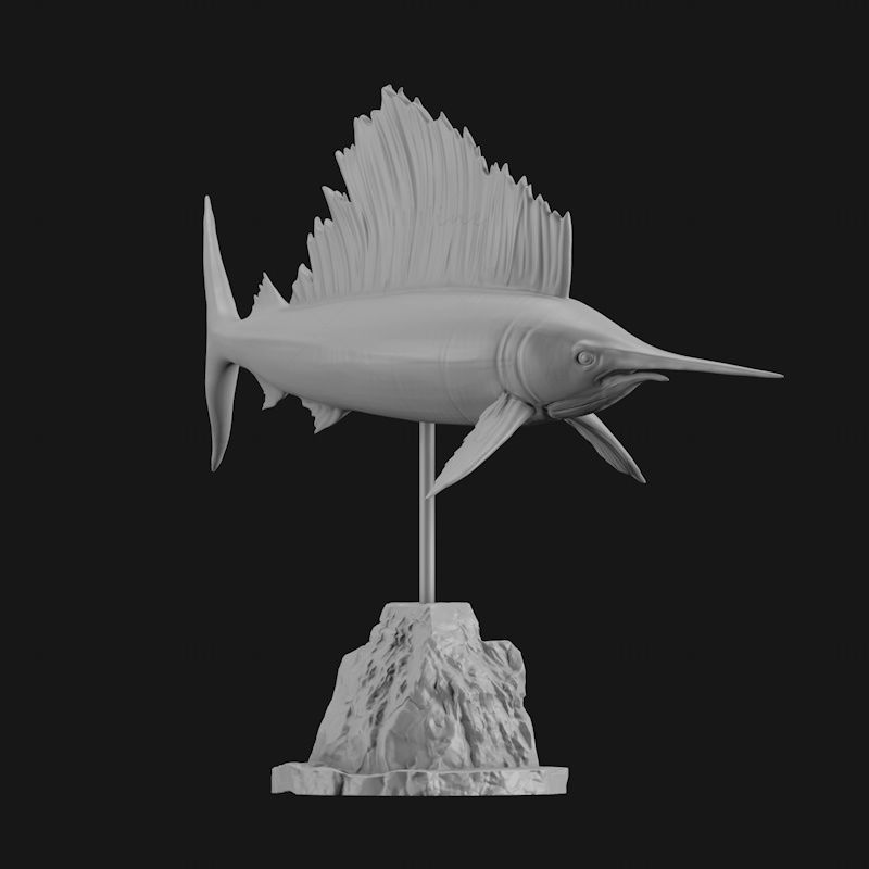 Indo-Pacific sailfish 3d printing model