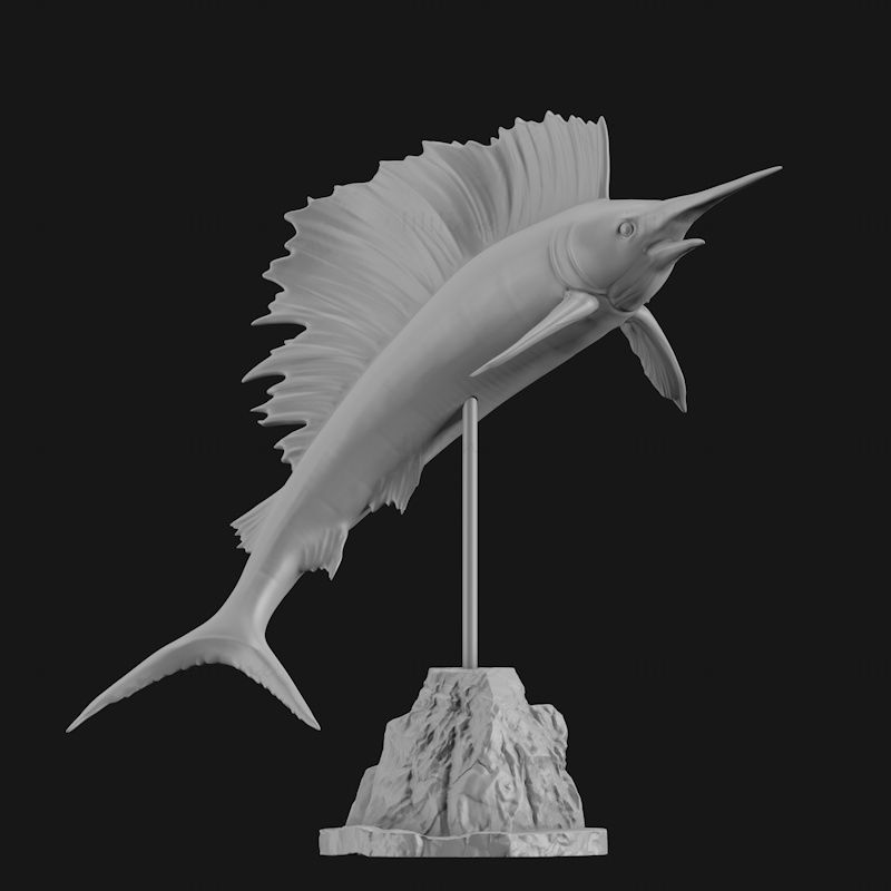 Hint-Pasifik yelken balığı 3d baskı modeli