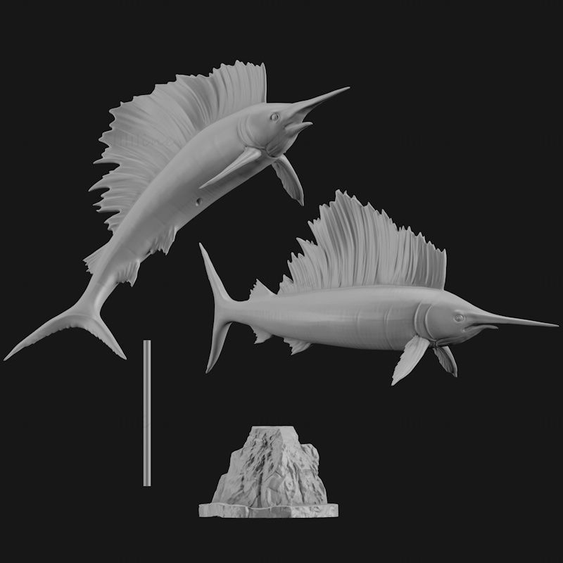 مدل پرینت سه بعدی ماهی بادبانی هند و اقیانوسیه