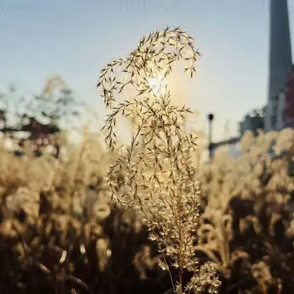 Industrial City Plant Image