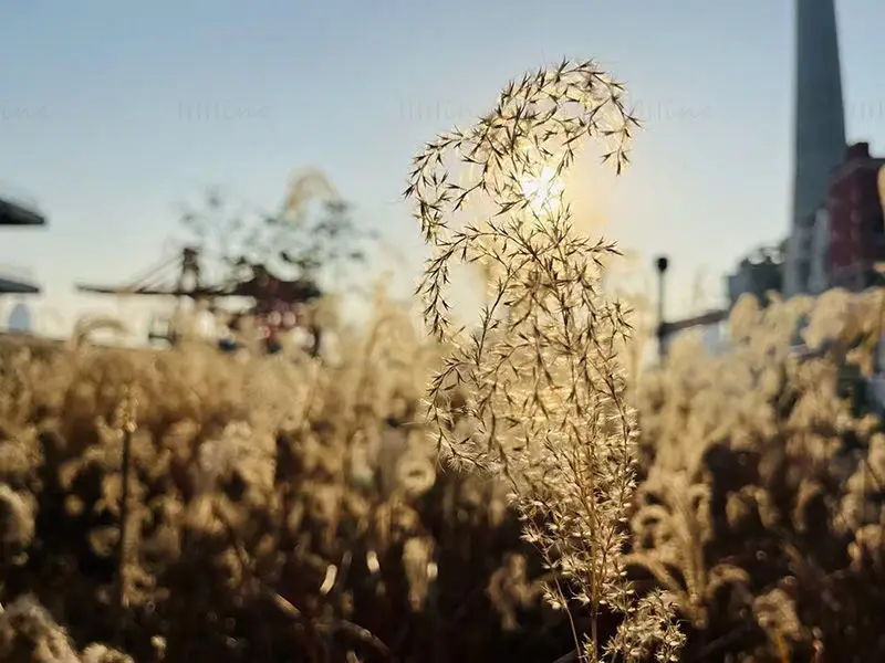 Imagem da planta da cidade industrial