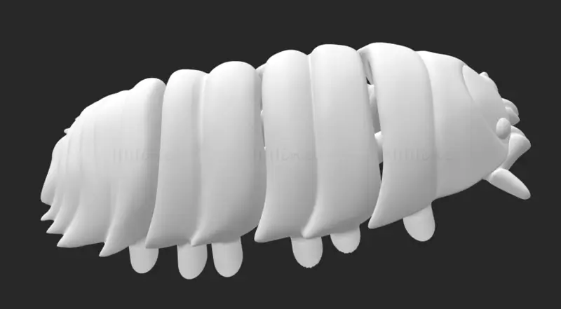 Insect Porcellio FLEXI articulated 3d printing model STL file