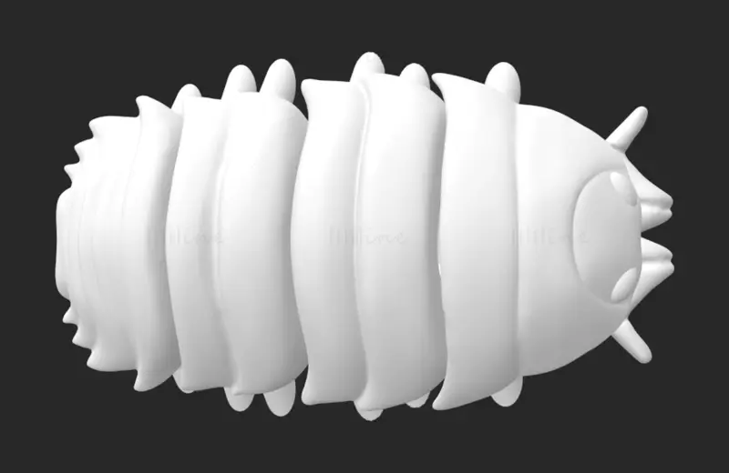 Insect Porcellio FLEXI articulated 3d printing model STL file