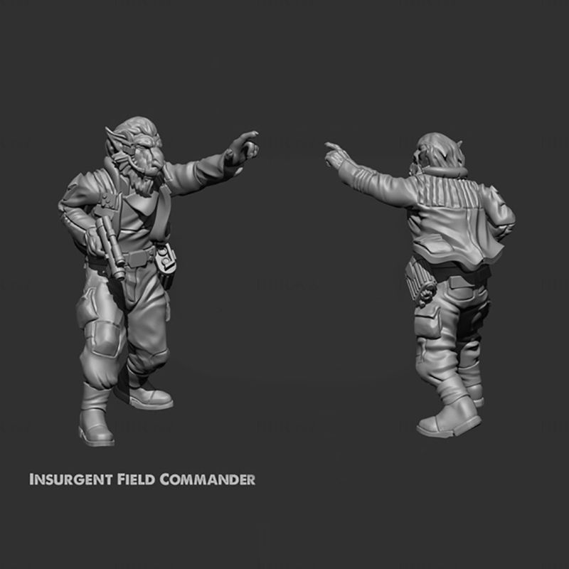 Insurgent Field Commander 3D Printing Model STL