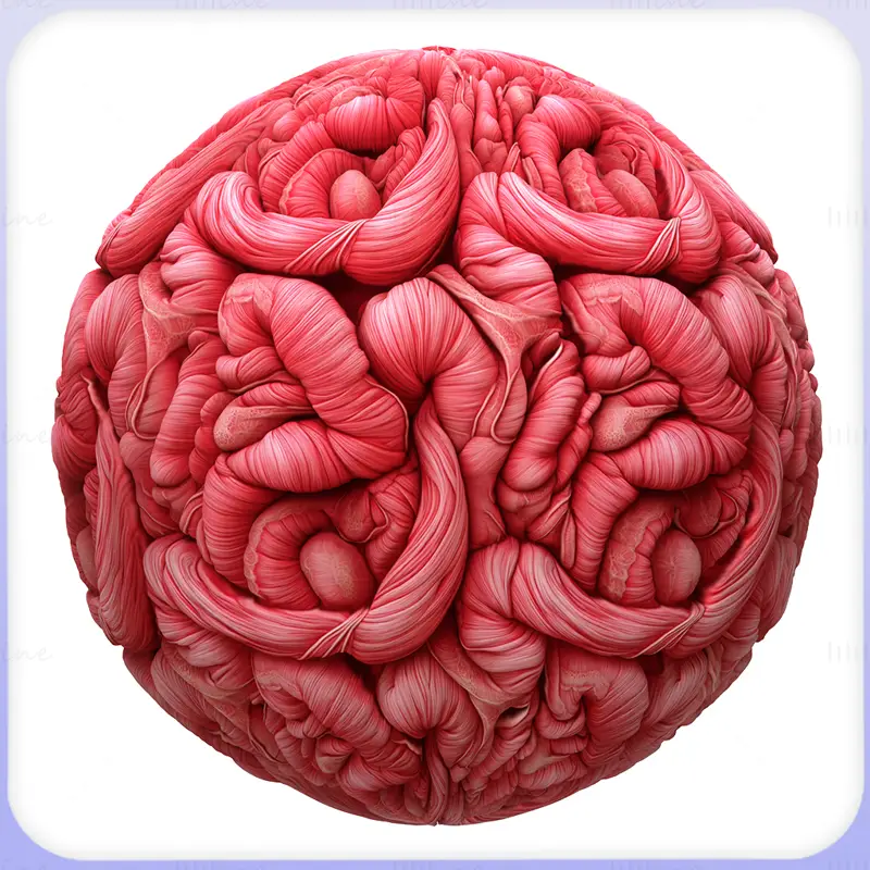 Intestine Seamless Texture