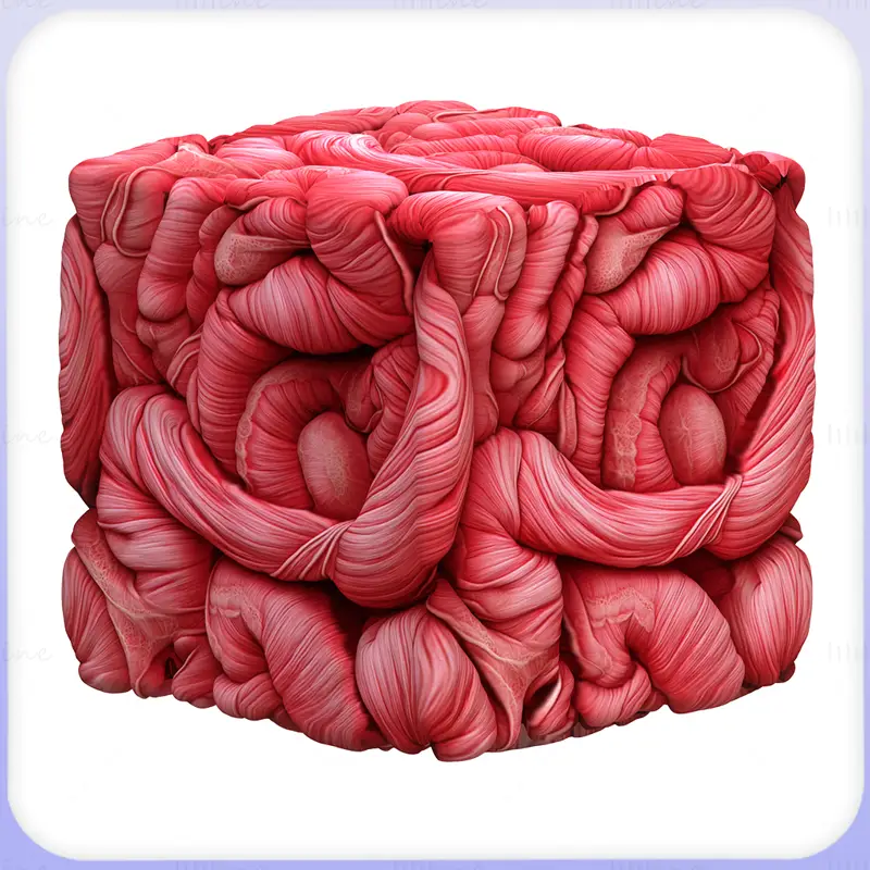 Intestine Seamless Texture