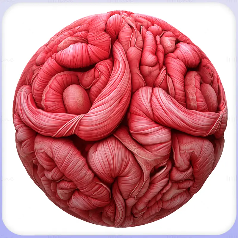 Intestine Seamless Texture