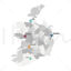 Ireland map vector