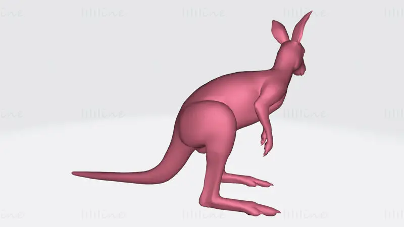 Kangaroo 3D Print Model
