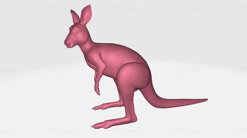 Kangaroo 3D Print Model