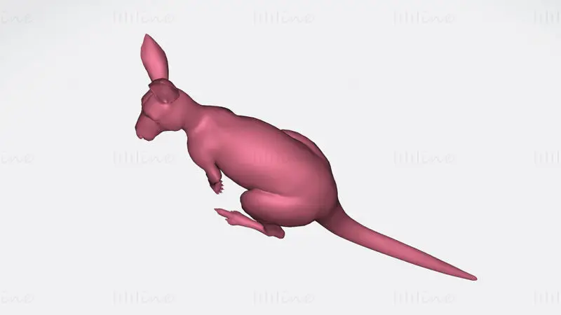 Kangaroo 3D Print Model