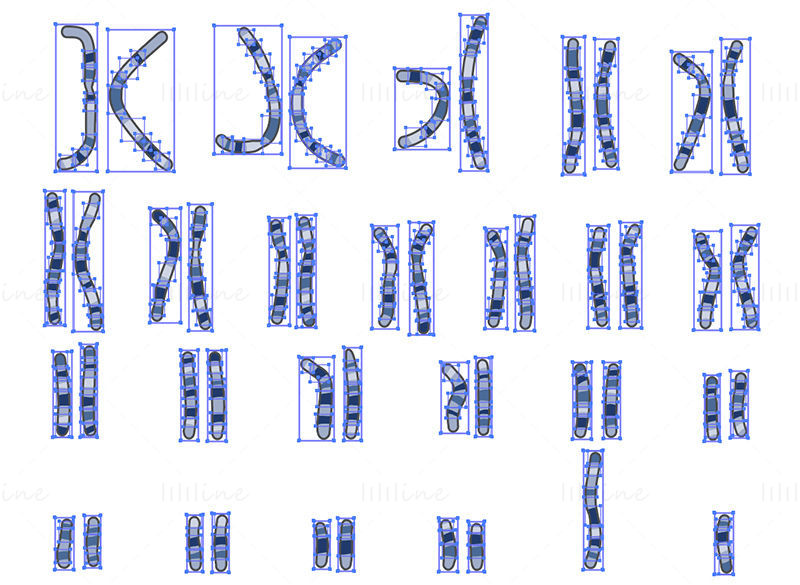 Karyotype vector