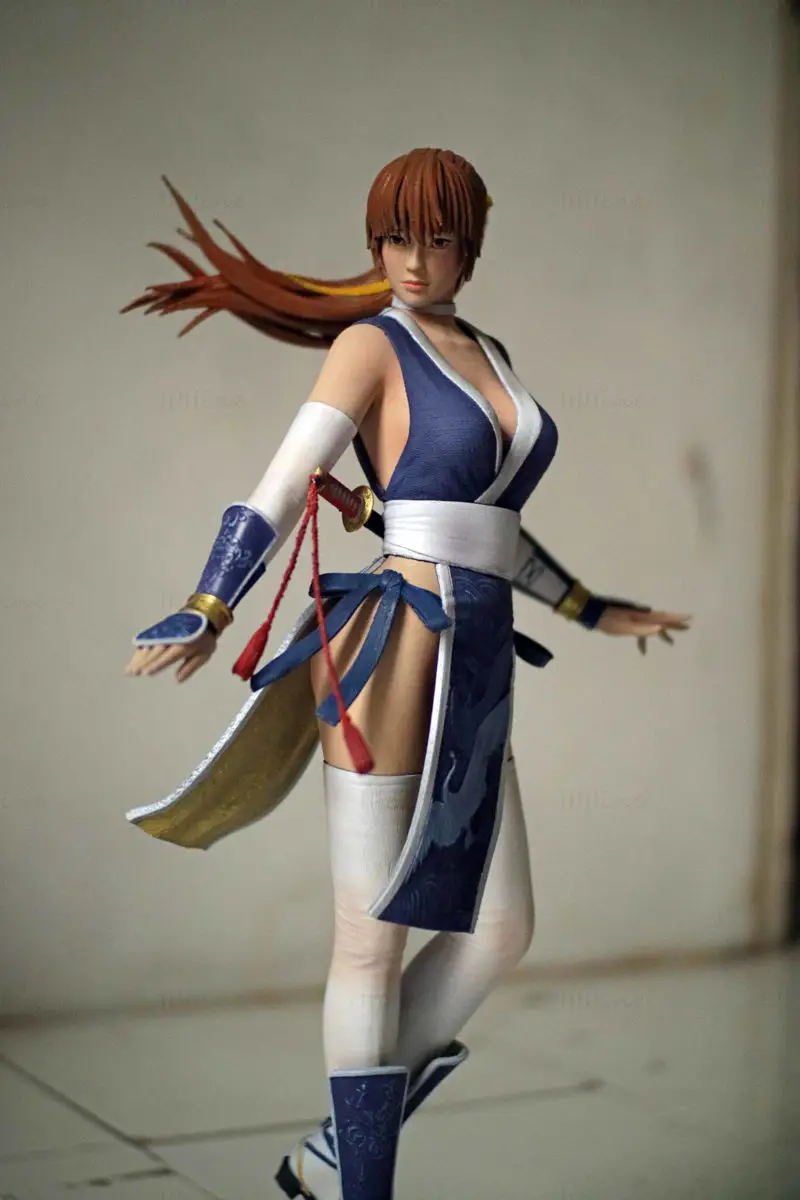 Kasumi (Dead Or Alive) Figuries 3D Print Model STL file