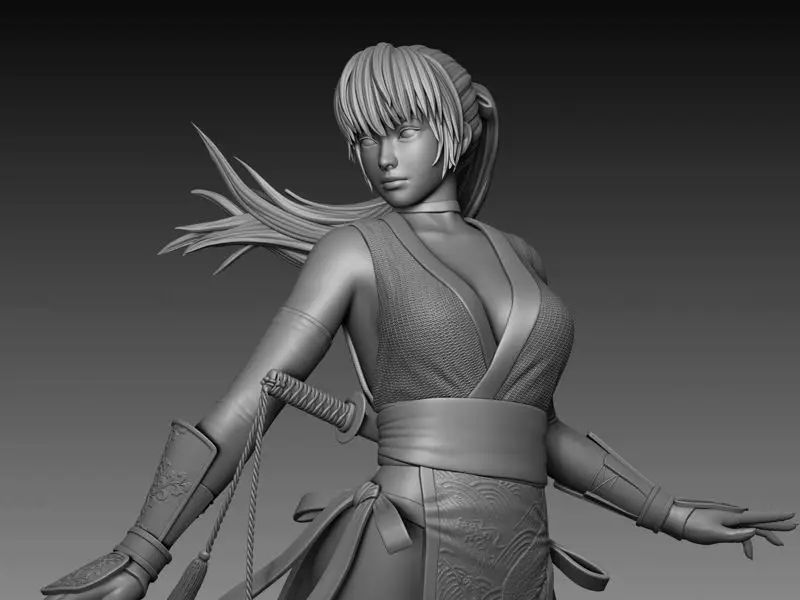 Kasumi (Dead Or Alive) Figuries 3D Print Model STL file