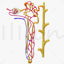 Kidney Nephron 3D Model