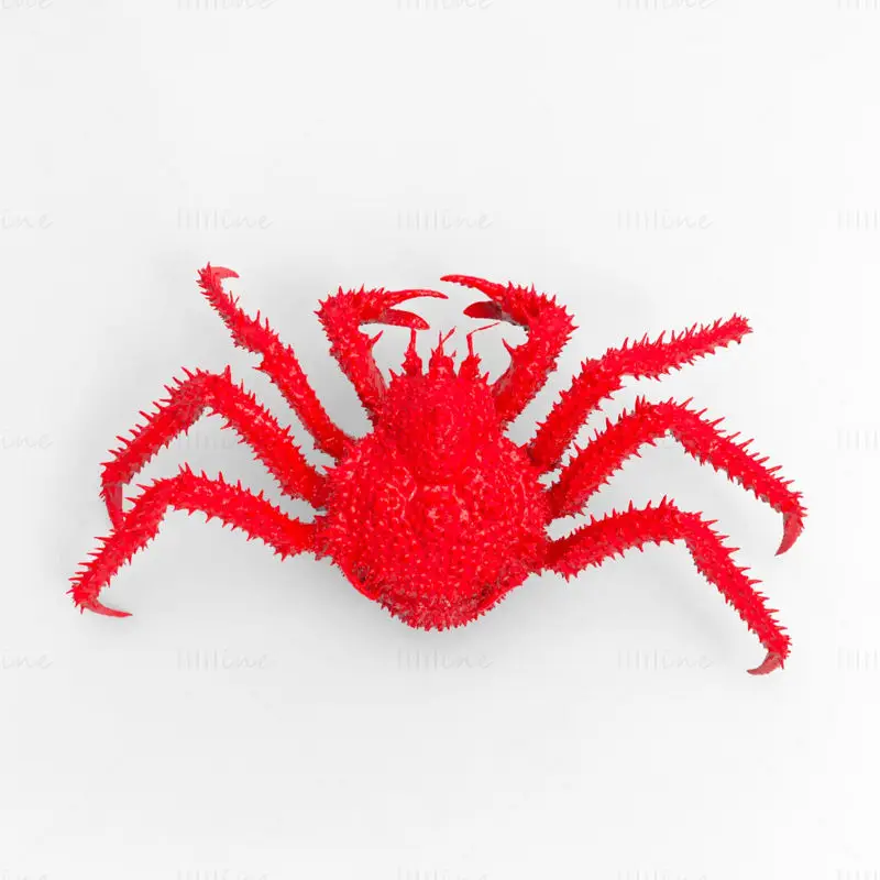 King crab 3d printing model stl