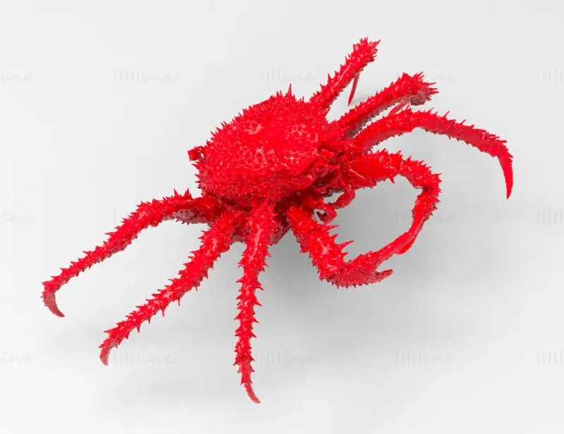 King crab 3d printing model stl