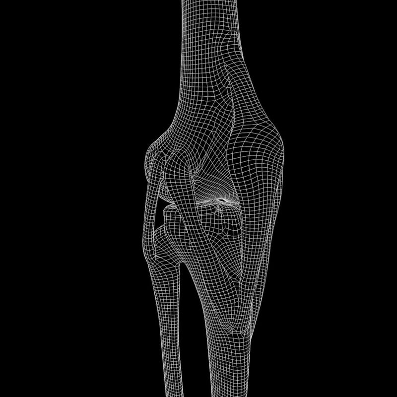 مدل سه بعدی مفصل زانو