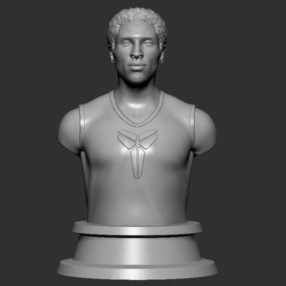 Modelo de impresión en 3D de Kobe Bryant