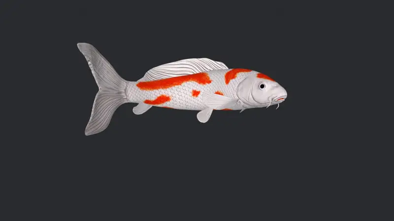 3D-model ribe Koi