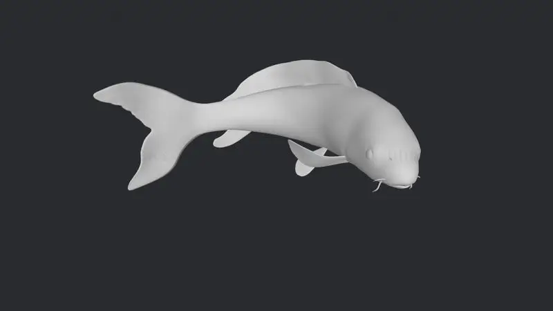 3D-model ribe Koi