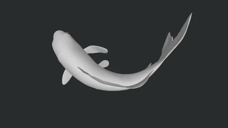 3D-model ribe Koi