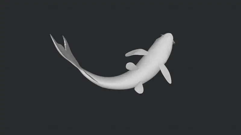 3D-model ribe Koi