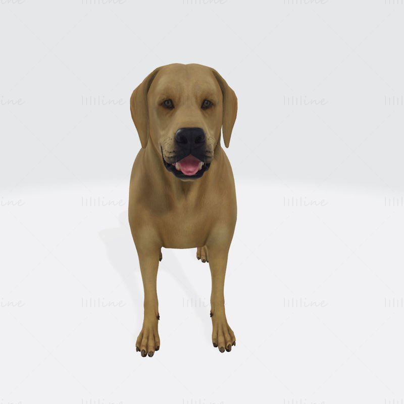 3D-Druckmodell eines Labrador Retriever-Hundes