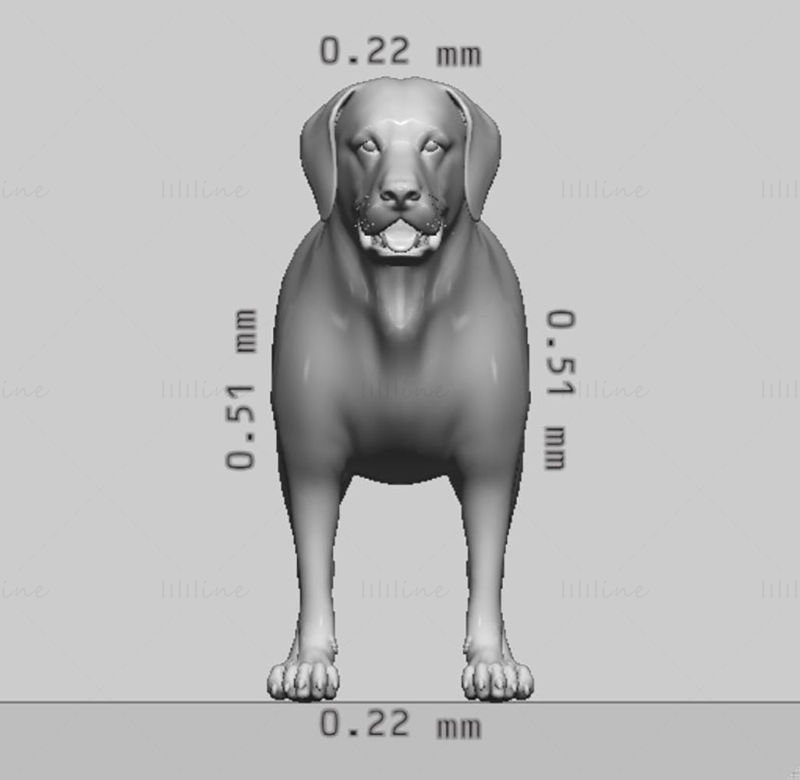 Labrador Retriever Dog 3D Print Model