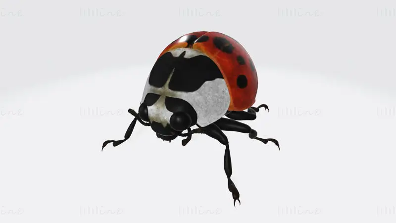 Ladybug Animal 3D-utskriftsmodell