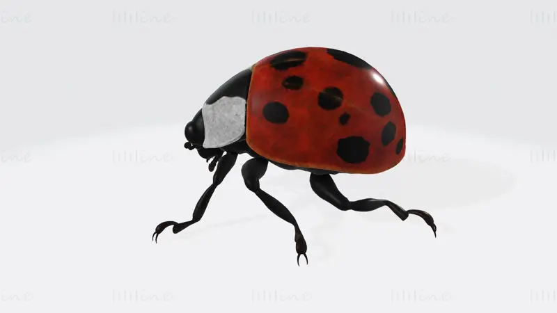 Modello di stampa 3D di animale coccinella