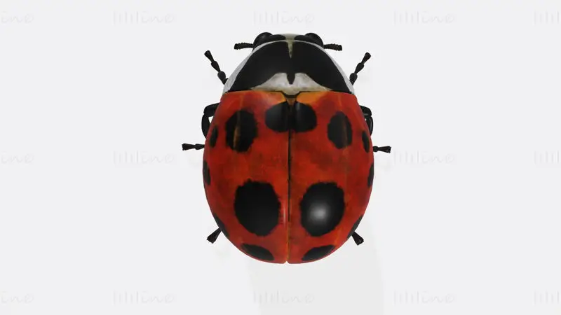 Modello di stampa 3D di animale coccinella