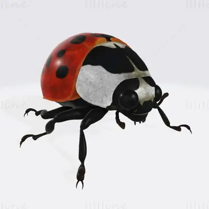 Modello di stampa 3D di animale coccinella