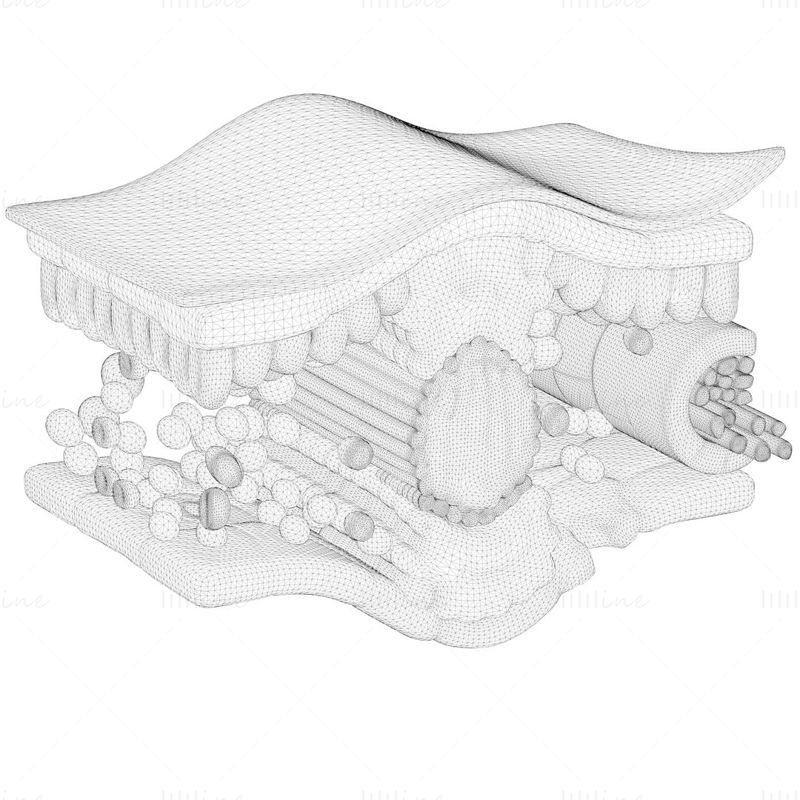 Modelo 3D de anatomía de la sección transversal de la hoja