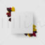 Leaf Title Frame PSD PNG